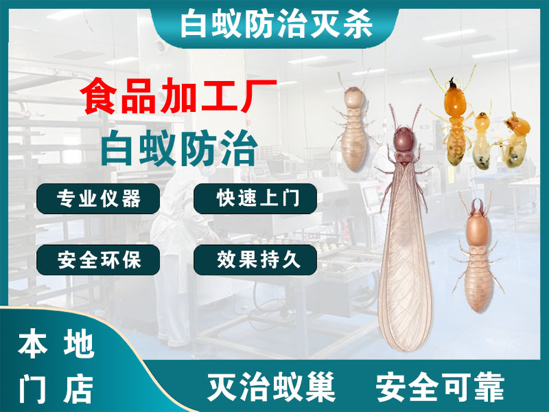 路桥食品加工厂白蚁防治