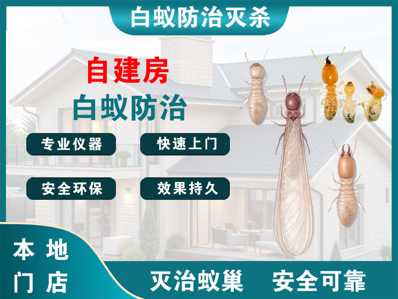 路桥自建房白蚁防治