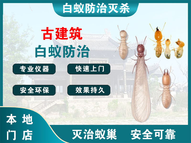 路桥古建筑白蚁防治