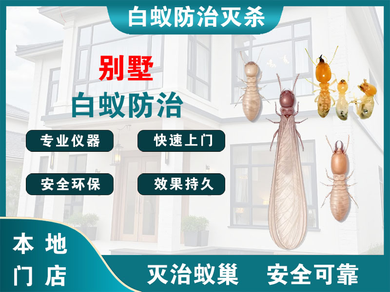 路桥别墅白蚁防治